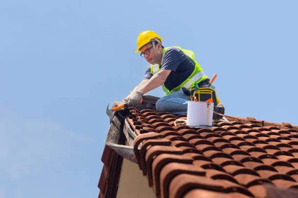 Roof Coating Services